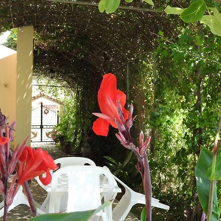 Skala Eresos Paradise Studios Skala Eresou Ngoại thất bức ảnh