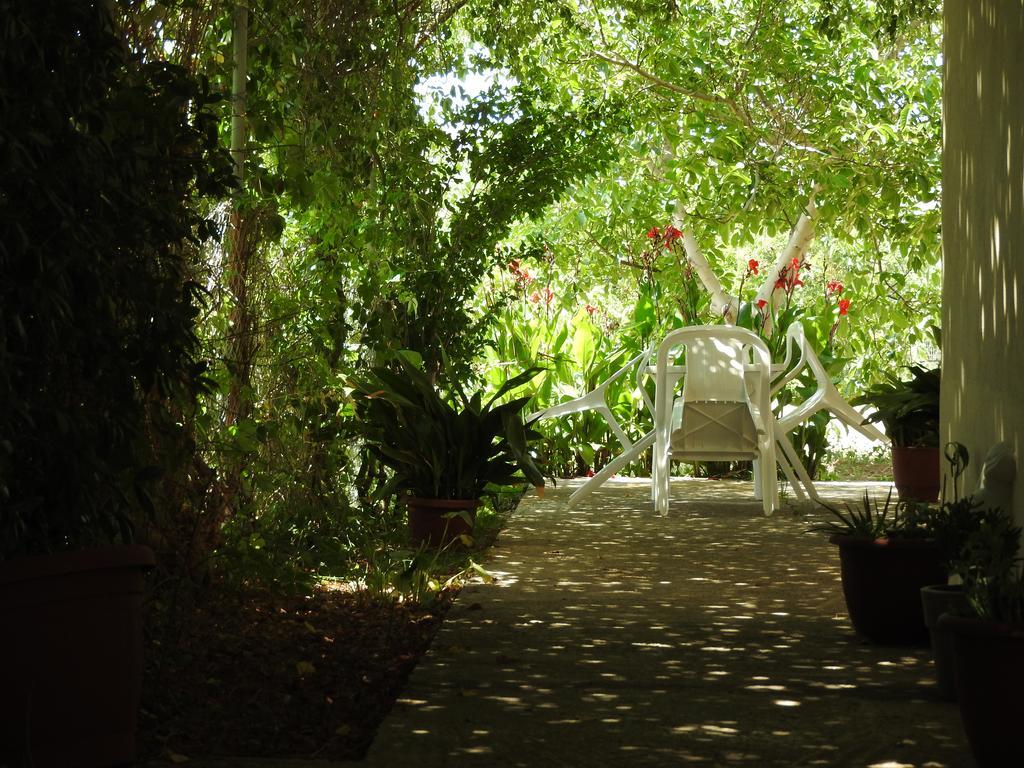 Skala Eresos Paradise Studios Skala Eresou Ngoại thất bức ảnh